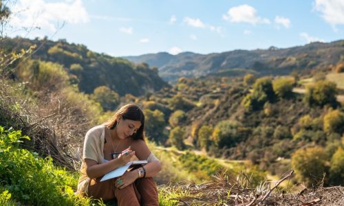 Imágenes para el sitio - 136