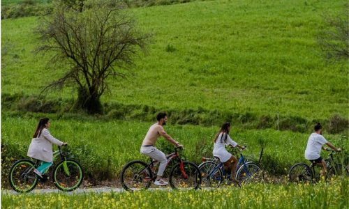 Imágenes para el sitio - 138