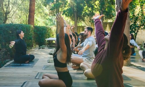 Imágenes para el sitio - 53